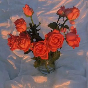 免费动漫成本人视频网站
